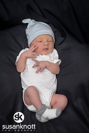 Newborn portraits, Albany, NY-Rohan