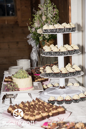 Wedding Photography, Saratoga, NY-Mansion Inn