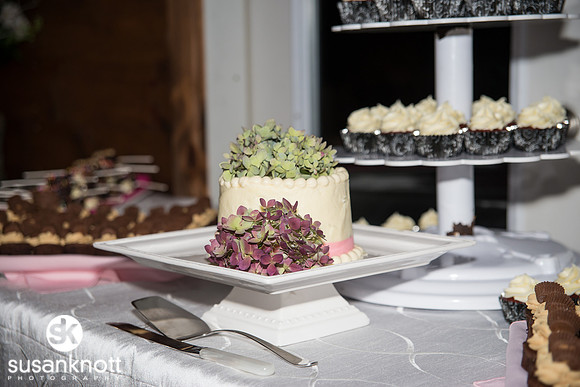 Wedding Photography, Saratoga, NY-Mansion Inn