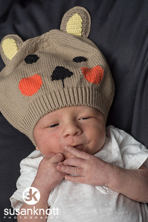 Newborn portraits, Albany, NY-Rohan