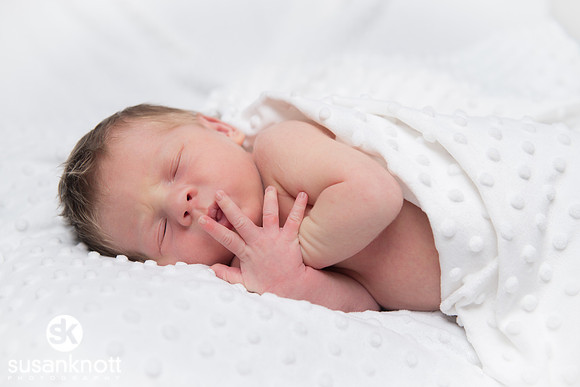 Newborn portraits, Albany, NY-Rohan