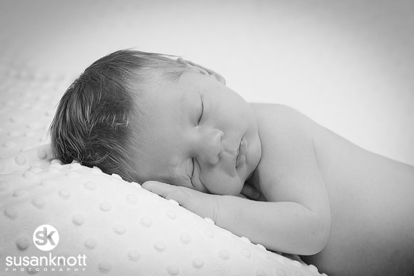 Newborn portraits, Albany, NY-Rohan