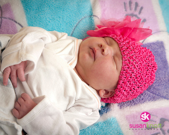 Newborn Portraits