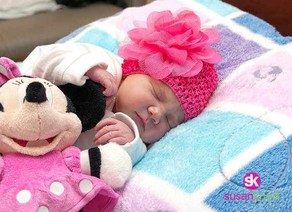 Newborn Portraits