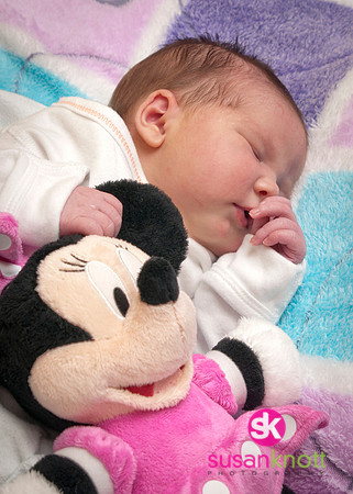 Newborn Portraits
