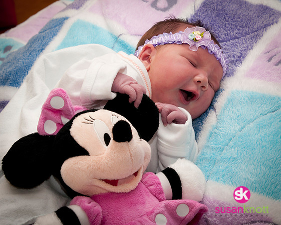 Newborn Portraits