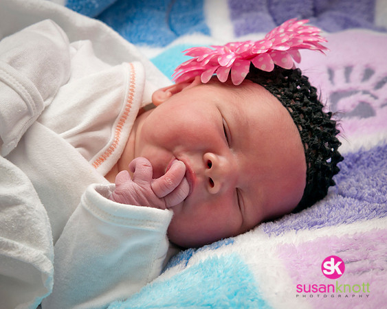 Newborn Portraits