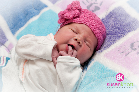 Newborn Portraits