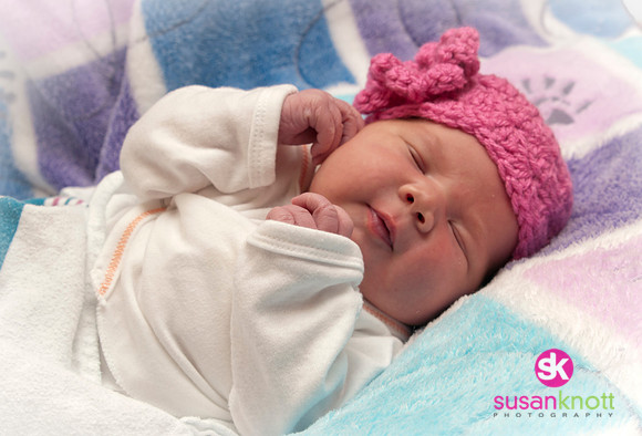 Newborn Portraits