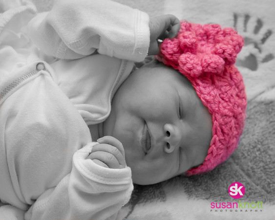 Newborn Portraits