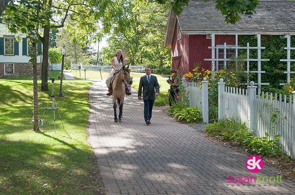 Wedding Photographers