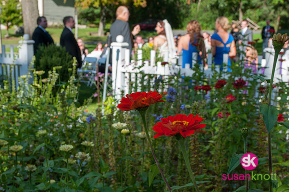 Wedding Photographers