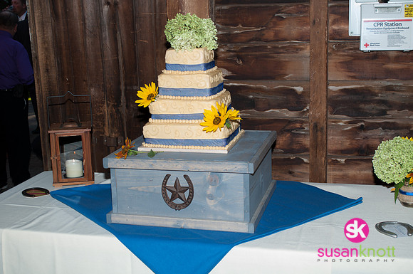Wedding Photographers