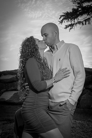 Wedding Engagement Photos
