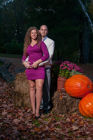 Wedding Engagement Photos
