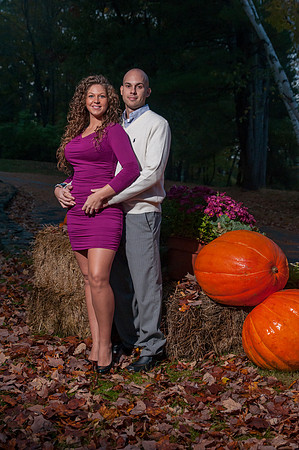 Wedding Engagement Photos
