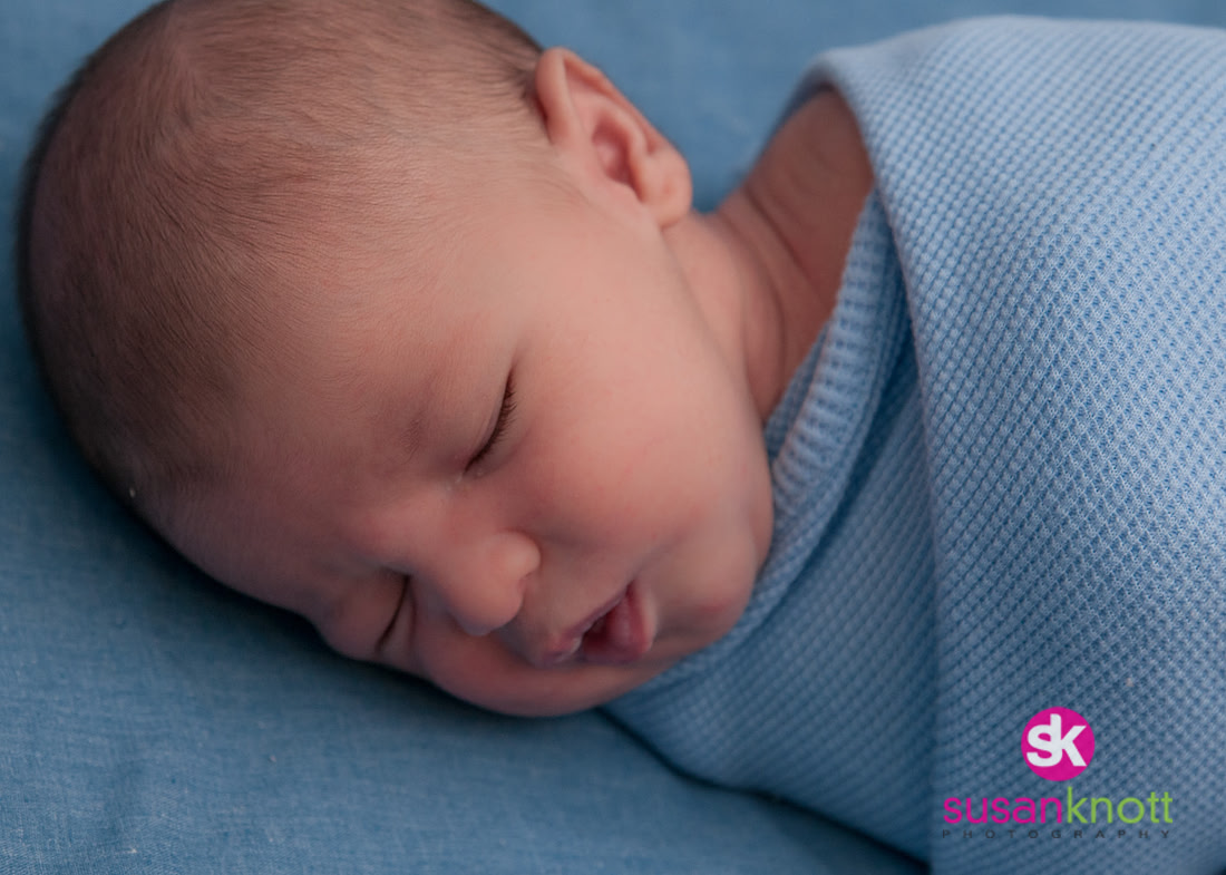 "Newborn Photography, Albany, NY", "Newborn Photos", "Newborn Portraits"