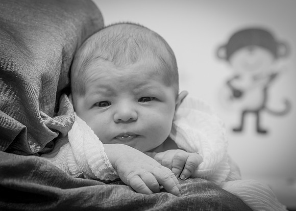 Newborn Photography