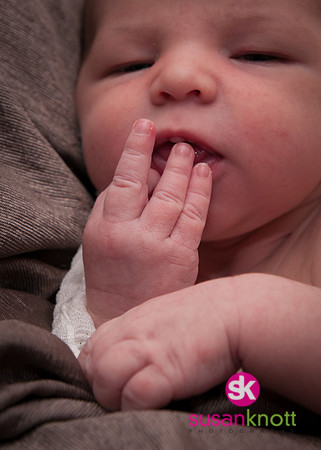 Newborn Photography