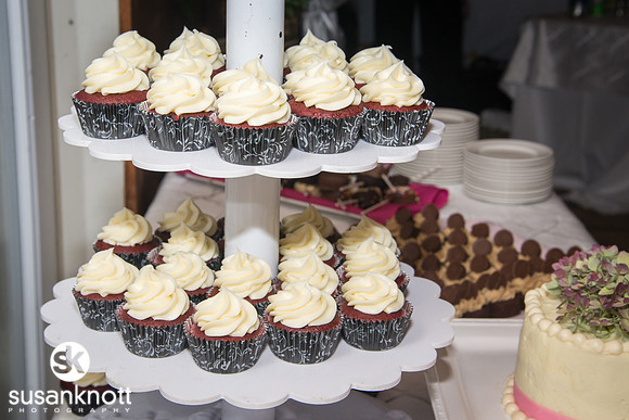 Wedding Photography, Saratoga, NY-Mansion Inn