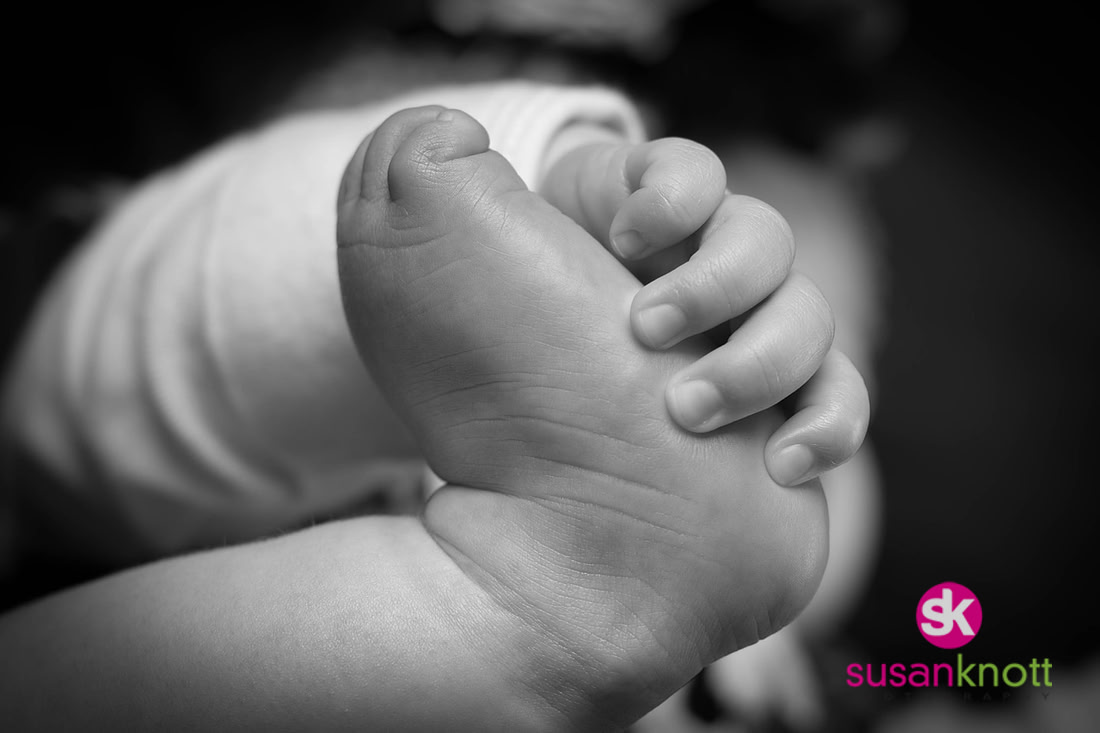 "Family Portrait Photographers, Albany, NY", "Family Portrait photography", "Baby Photos", "Newborn Photos"