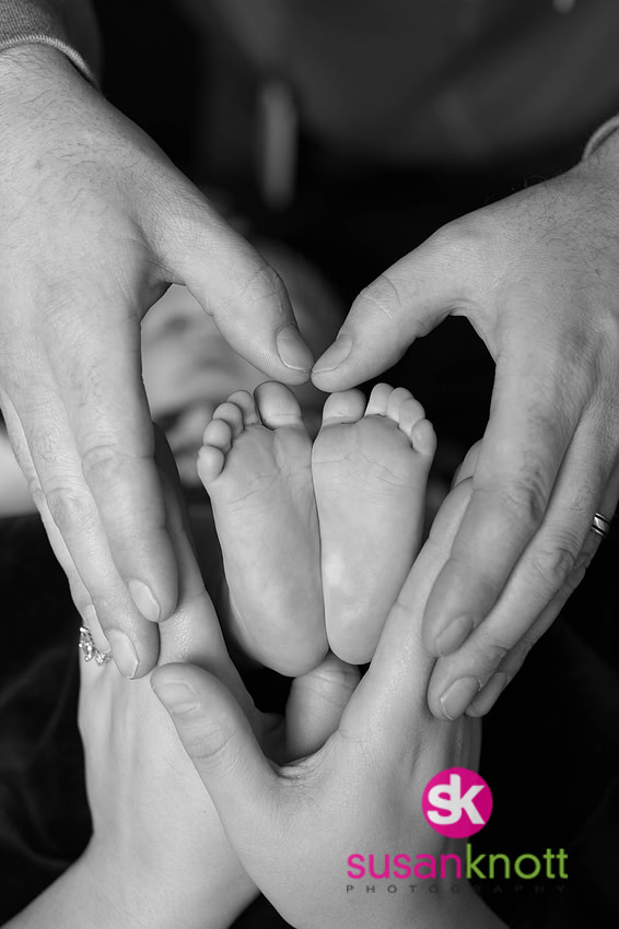 "Family Portrait Photographers, Albany, NY", "Family Portrait photography", "Baby Photos", "Newborn Photos"