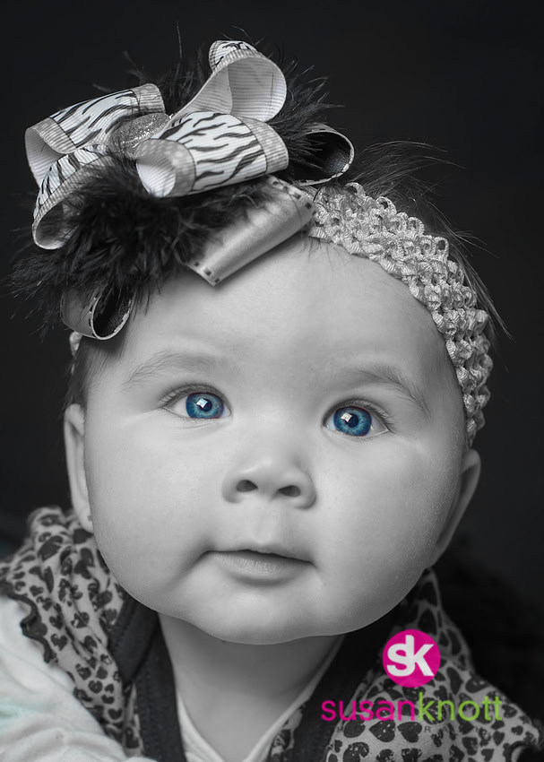 "Family Portrait Photographers, Albany, NY", "Family Portrait photography", "Baby Photos", "Newborn Photos"