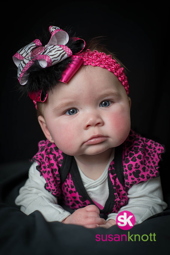 "Family Portrait Photographers, Albany, NY", "Family Portrait photography", "Baby Photos", "Newborn Photos"