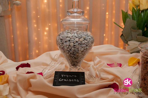 Wedding Photography, Albany, NY