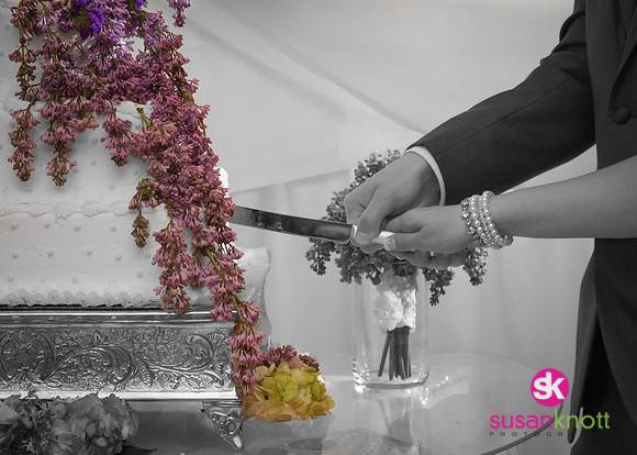 Wedding Photography, Albany, NY