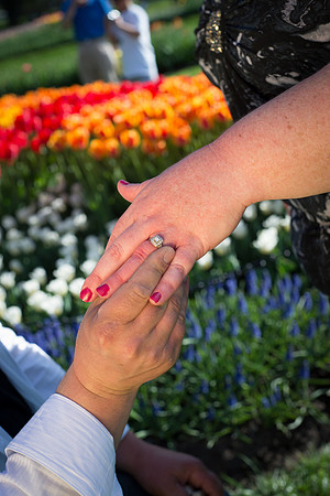 Engagement Photography-Jennifer & Bill
