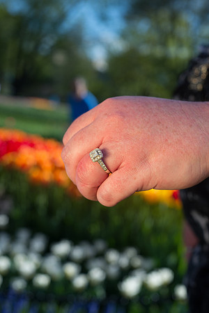 Engagement Photography-Jennifer & Bill