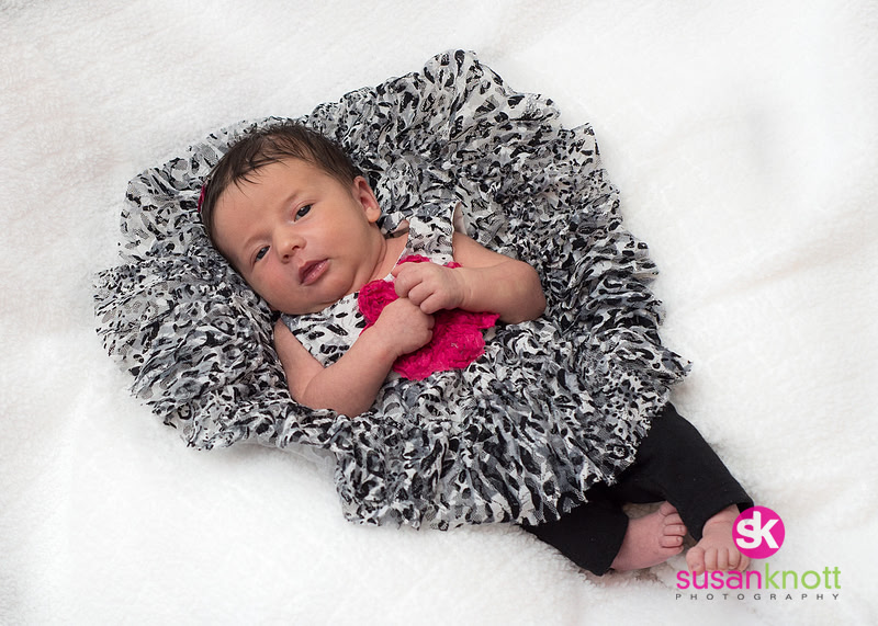 "Family Portrait Photographers, Albany, NY" "Family Portraits", "Newborn photos", "Baby Portraits"