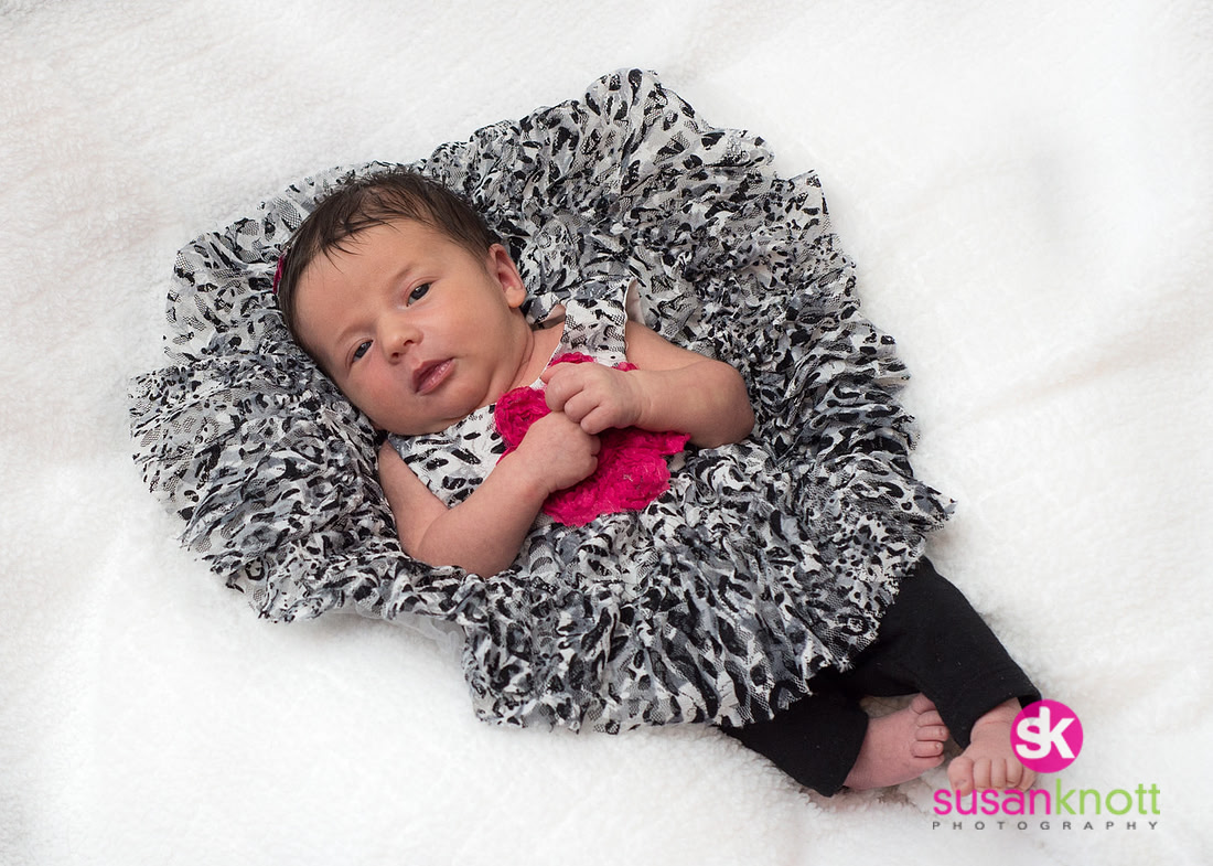 "Family Portrait Photographers, Albany, NY" "Family Portraits", "Newborn photos", "Baby Portraits"