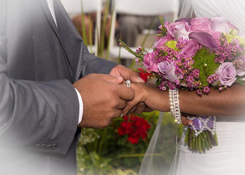 "Wedding Photography, Albany, NY", "Family Portraits", "Engagement Photos", "Senior Portraits", "Commercial Photography"