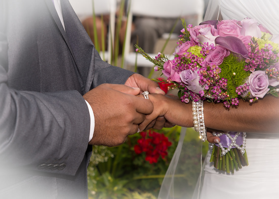 "Wedding Photography, Albany, NY", "Family Portraits", "Engagement Photos", "Senior Portraits", "Commercial Photography"