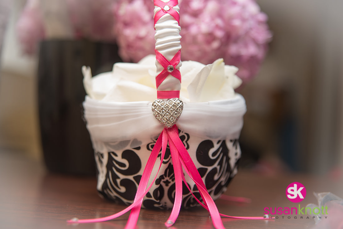 "Wedding Photographers, Albany, NY", "Wedding Portraits", "Wedding Photos" "Wedding Pictures", "The Century House"