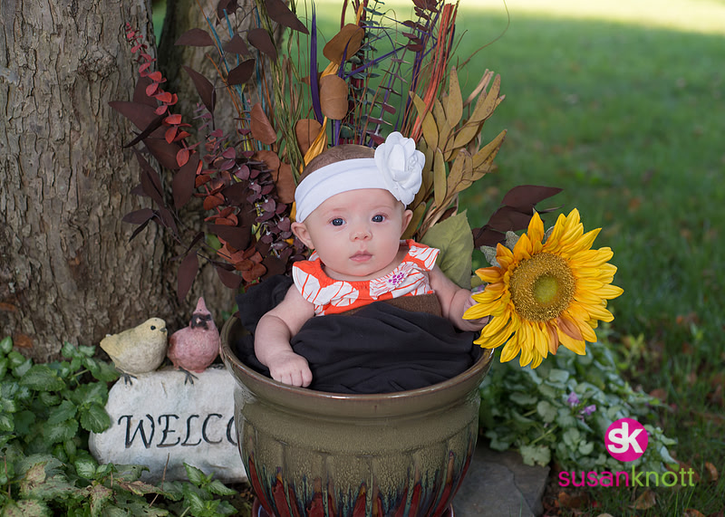 "Family Portrait Photographer, Albany, NY", "Family Portraits", "Newborn Photography", "five generation photos"