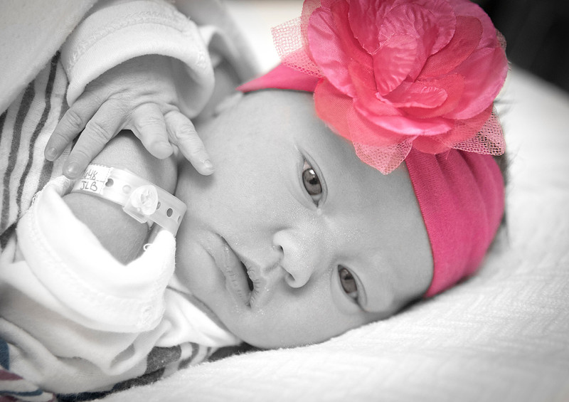 "Family Portrait Photography, Albany, NY", "Newborn Portraits", "Newborn Photography"
