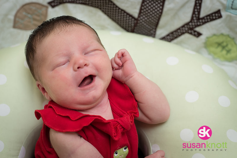 "Family Portrait Photography, Albany, NY", "Newborn Portraits", "Newborn photos", "Baby Pictures"