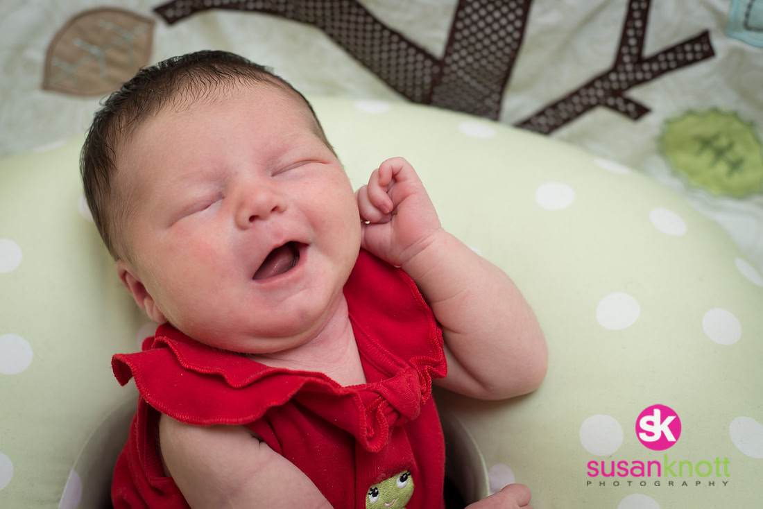 "Family Portrait Photography, Albany, NY", "Newborn Portraits", "Newborn photos", "Baby Pictures"