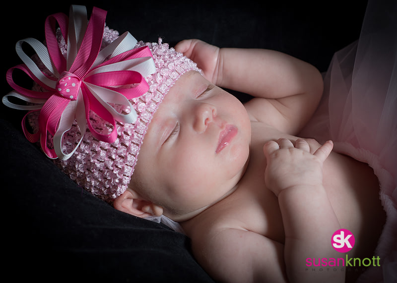 "Family Portrait Photographer, Albany, NY", "Family Portraits", "Newborn Photography", "five generation photos"