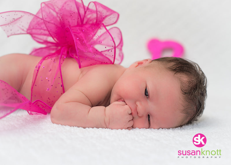 "Family Portrait Photography, Albany, NY", "Newborn Portraits", "Newborn photos", "Baby Pictures"