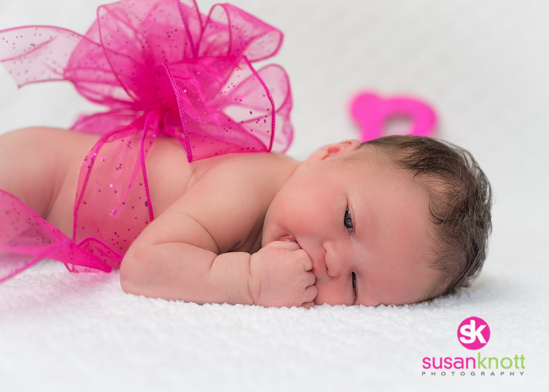 "Family Portrait Photography, Albany, NY", "Newborn Portraits", "Newborn photos", "Baby Pictures"