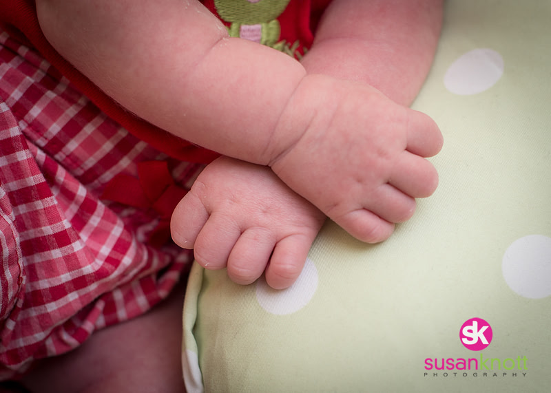"Family Portrait Photography, Albany, NY", "Newborn Portraits", "Newborn photos", "Baby Pictures"