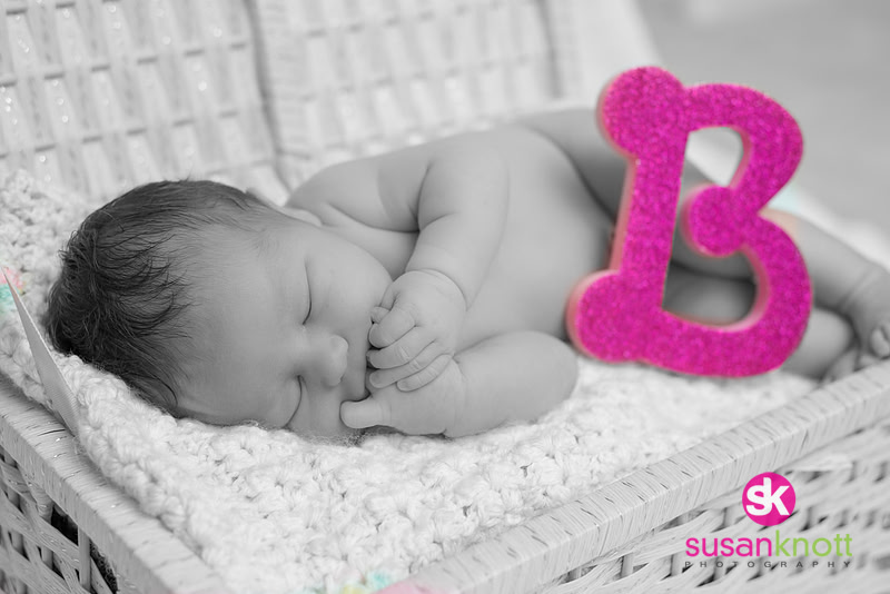 "Family Portrait Photography, Albany, NY", "Newborn Portraits", "Newborn photos", "Baby Pictures"