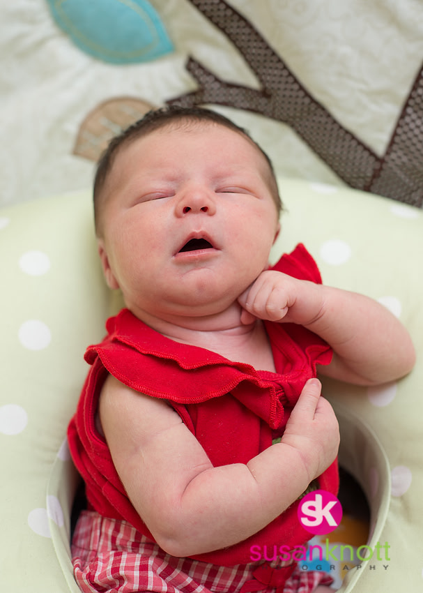 "Family Portrait Photography, Albany, NY", "Newborn Portraits", "Newborn photos", "Baby Pictures"