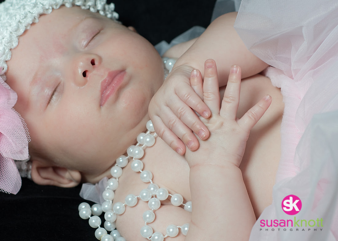 "Family Portrait Photographer, Albany, NY", "Family Portraits", "Newborn Photography", "five generation photos"