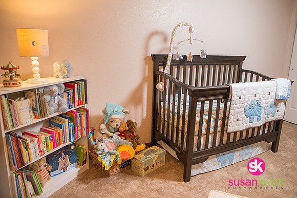 Maternity Photography-Amy-Todd