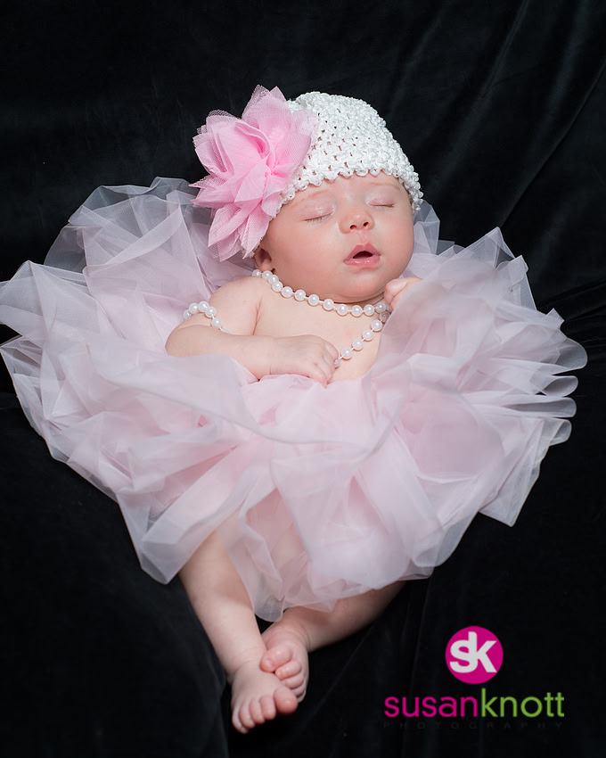 "Family Portrait Photographer, Albany, NY", "Family Portraits", "Newborn Photography", "five generation photos"